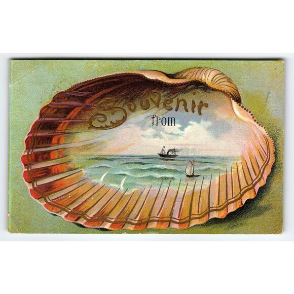 Shell Postcard Postcards | Other | Vintage Souvenir Postcard Scallop Shell Ocean Boats ...